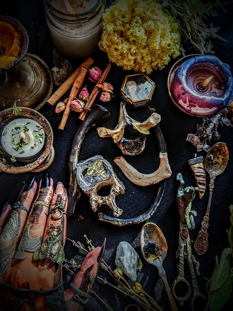 BONE READINGS